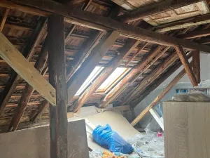 Prodej rodinného domu, Chabařovice, V Aleji, 280 m2