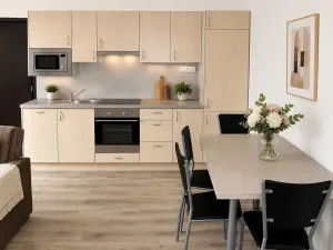 Pronájem bytu 2+kk, Brno, Minská, 42 m2