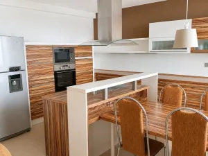 Prodej rodinného domu, Opava, Květinová, 270 m2