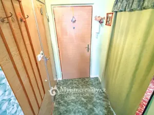 Prodej bytu 1+1, Znojmo, Vídeňská třída, 32 m2