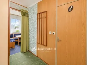 Prodej bytu 1+1, Znojmo, Vídeňská třída, 32 m2