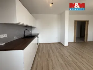 Pronájem bytu 1+kk, Třebechovice pod Orebem, Masarykovo náměstí, 41 m2