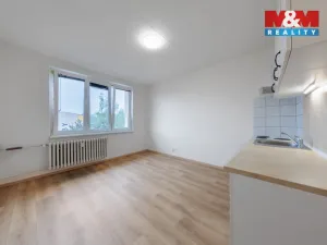 Prodej bytu 1+kk, Horní Slavkov, U Lesoparku, 19 m2