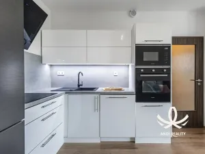 Pronájem bytu 1+kk, Mladá Boleslav, Laurinova, 35 m2