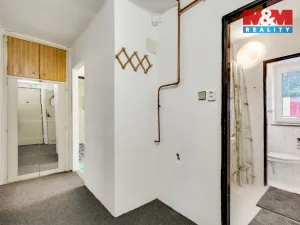 Prodej bytu 3+1, Králův Dvůr, Pod Hájem, 63 m2