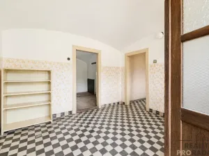 Prodej rodinného domu, Slepotice, 200 m2