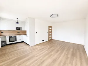 Pronájem bytu 1+kk, Praha - Záběhlice, Bramboříková, 42 m2