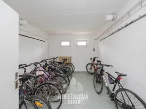 Pronájem bytu 2+1, Jihlava, Březinova, 54 m2