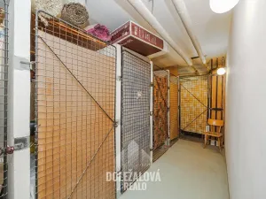 Pronájem bytu 2+1, Jihlava, Březinova, 54 m2