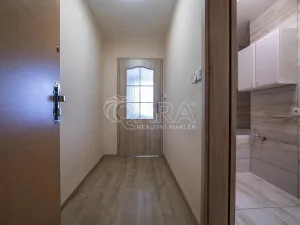 Prodej bytu 1+1, Kladno - Kročehlavy, Arbesova, 36 m2