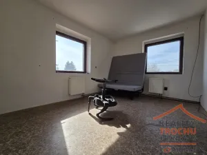 Prodej obchodního prostoru, Sadová, 339 m2