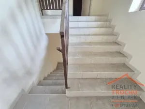 Prodej obchodního prostoru, Sadová, 339 m2