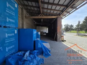 Prodej obchodního prostoru, Sadová, 339 m2