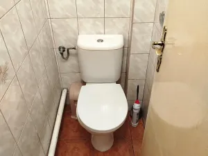 Pronájem bytu, Mirošovice, Karlín, 15 m2