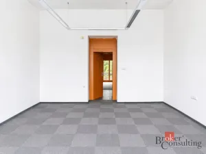 Pronájem kanceláře, Opava - Předměstí, Janská, 30 m2