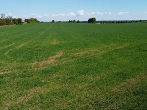 Prodej pozemku pro bydlení, Sibřina - Stupice, 1050 m2