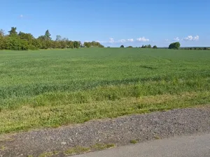 Prodej pozemku pro bydlení, Sibřina - Stupice, 1278 m2