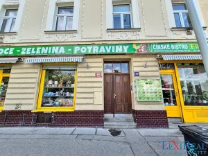 Pronájem bytu 1+1, Praha - Podolí, Podolská, 36 m2