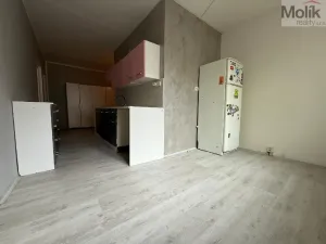 Prodej bytu 2+1, Jirkov, Hornická, 61 m2
