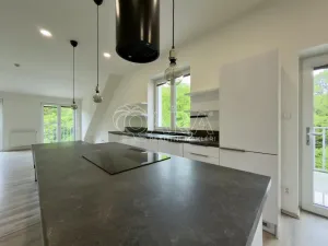 Pronájem bytu 1+kk, Brno - Pisárky, Libušino údolí, 65 m2