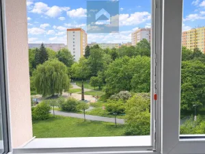 Pronájem bytu 2+kk, Plzeň, Stanko Vodičky, 50 m2