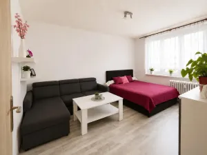 Pronájem bytu 2+1, Klášterec nad Ohří - Miřetice u Klášterce nad Ohří, Jana Ámose Komenského, 52 m2