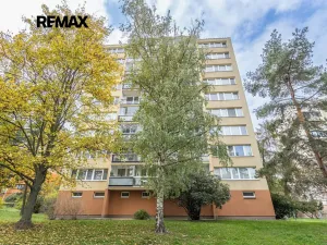 Pronájem bytu 3+1, Praha - Žižkov, Křivá, 73 m2