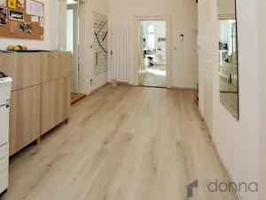 Pronájem kanceláře, Praha, Bělehradská, 100 m2