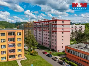 Prodej bytu 1+1, Ústí nad Labem, Peškova, 35 m2
