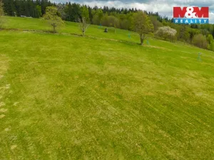 Prodej louky, Albrechtice v Jizerských horách, 13478 m2