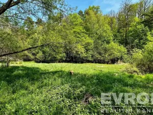 Prodej rodinného domu, Dubá - Nový Berštejn, Malý Mlýnek, 350 m2