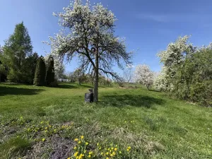 Pronájem bytu 4+kk, Zábřeh, Skalička, 95 m2