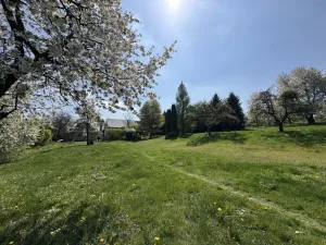 Pronájem bytu 4+kk, Zábřeh, Skalička, 95 m2