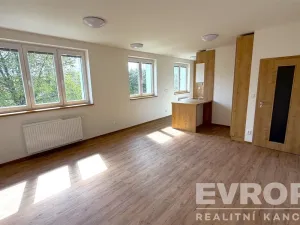 Pronájem bytu 1+kk, Dolní Branná, 44 m2