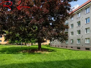 Pronájem bytu 1+1, Mělník, Sokolovská, 35 m2