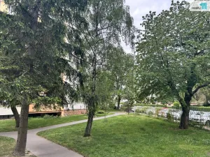 Prodej bytu 3+1, Praha - Horní Počernice, Běluňská, 73 m2