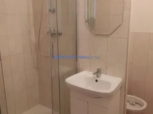 Pronájem bytu 1+kk, Hradec Králové, Pod Zámečkem, 30 m2