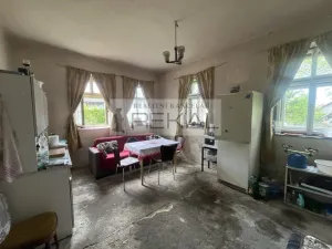 Prodej vícegeneračního domu, Sezemice, 250 m2
