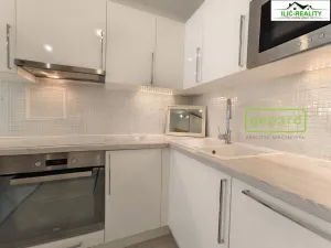 Pronájem bytu 1+1, Praha, Petržílkova, 40 m2