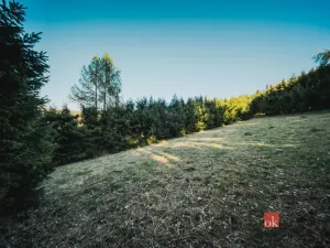 Prodej chaty, Sušice, 66 m2