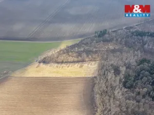 Prodej lesa, Bohuslavice, 11971 m2
