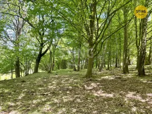 Prodej lesa, Městečko Trnávka - Pěčíkov, 16440 m2