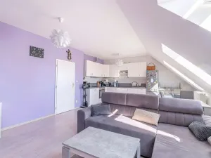 Prodej rodinného domu, Štěpánov, Novoveská, 210 m2