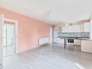 Prodej rodinného domu, Štěpánov, Novoveská, 210 m2
