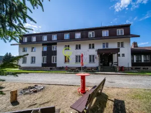 Prodej ubytování, Nové Hutě, 2776 m2