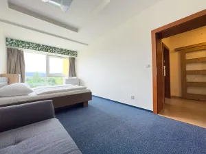 Prodej bytu 2+kk, Frymburk, 57 m2