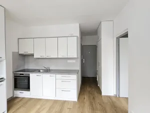Pronájem bytu 1+1, Cheb, Do Zátiší, 33 m2