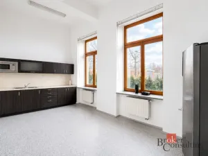 Pronájem kanceláře, Opava - Předměstí, Janská, 30 m2