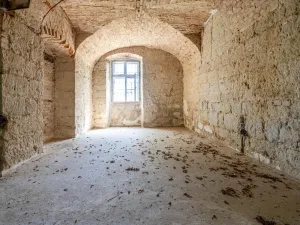 Prodej historického objektu, Velké Všelisy, 4000 m2