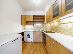 Prodej bytu 2+kk, Brno, Ke Statku, 45 m2